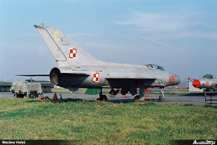 MiG-21 F13 - 10291.jpg